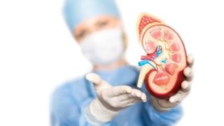 ماءالشعیر برای دفع سنگ کلیه مناسب است؟/ وزارت بهداشت توضیح داد