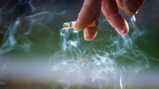 زنان و جوانان، هدف مافیای دخانیات / انتقاد از کشت توتون در زمینهای کشاورزی زنان و جوانان، هدف مافیای دخانیات / انتقاد از کشت توتون در زمینهای کشاورزی