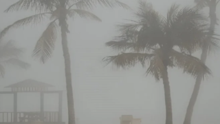 کیش غرق در مه !