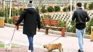 سگ‌گردانی در این استان کشور ممنوع شد/ اجرای طرح ویژه برخورد با سگ‌گردانی/ پلیس وارد عمل می‌شود