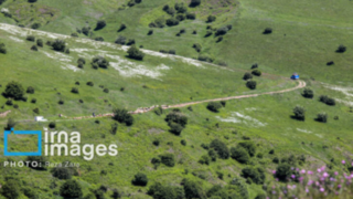 جنگل "فندقلو"