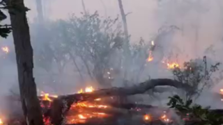 ۹۰ هکتار از پارک ملی گلستان طعمه حریق شد ۹۰ هکتار از پارک ملی گلستان طعمه حریق شد
