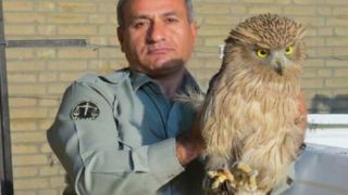 جزییات بیشتر از کشته شدن محیط بان منطقه حفاظت شده "خائیز" جزییات بیشتر از کشته شدن محیط بان منطقه حفاظت شده "خائیز"