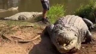 مادر بزرگی با ۱۰هزار بچه!