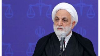 رسیدگی به پرونده قتل الهه حسیننژاد در نهایت دقت/ اجازه ندهیم امنیت روانی مخدوش شود رسیدگی به پرونده قتل الهه حسیننژاد در نهایت دقت/ اجازه ندهیم امنیت روانی مخدوش شود