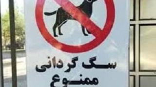 برخورد با سگ‌گردانی در اماکن و معابر عمومی زرند