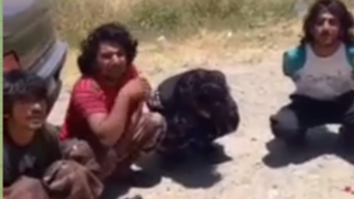 دستگیری اتباع افغان و کشف ریز پرنده‌ها در لرستان