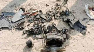 کشف بیش از ۱۰ هزار ریزپرنده در تهران