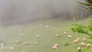 ایران زیباست؛ گیلان رضوانشهر ییلاق سنگده