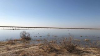 محیط زیست وجود آرسنیک و سیانور در گردوغبار تالاب بندعلی‌خان را تکذیب کرد