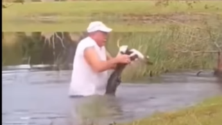 لحظه نجات و بیرون کشیدن یک سگ از میان آروارههای یک تمساح لحظه نجات و بیرون کشیدن یک سگ از میان آروارههای یک تمساح