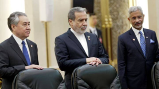 دیدار وزرای خارجه سازمان همکاری شانگهای با رئیس جمهور چین