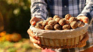 بر اساس تحقیقات خوردن گردو صبح‌ها بهتر است یا شب‌ها؟