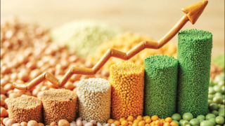 طغیان لوبیا، برنج و لپه؛ مشکل کجاست؟! 