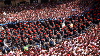 گاو بازی اسپانیایی گاو بازی اسپانیایی