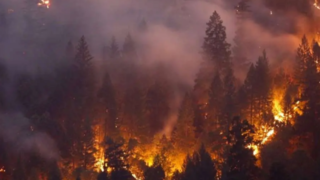 گردباد آتش در ترکیه گردباد آتش در ترکیه