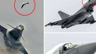 لحظه وحشتناک برخورد مرغ دریایی با جنگنده ۷۳ میلیون پوندی