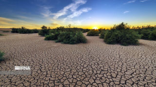 دادگاه لاهه: تغییرات اقلیمی تهدیدی فوری و وجودی برای کشورها است