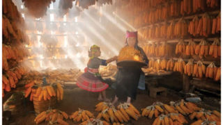 ۱۴ شاهکار عکاسی که در سال ۲۰۲۵ برندۀ جایزه شدند