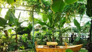 جنگل استوایی شگفتانگیز در نزدیکی تهران جنگل استوایی شگفتانگیز در نزدیکی تهران