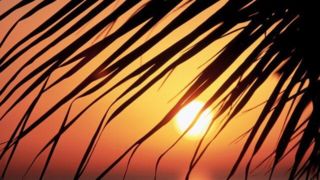 ثبت دمای بالای ۵۰ درجه در ۷ شهر خوزستان ثبت دمای بالای ۵۰ درجه در ۷ شهر خوزستان