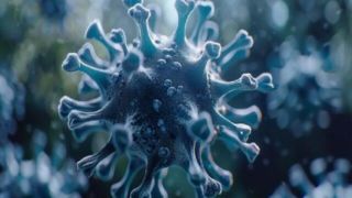 HPV به تنهایی باعث ناباروری نمی‌شود