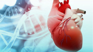 خطر دو برابری بیماری قلبی و سرطان سینه در زنان مسن چاق  