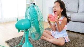 در گرما از پنکه استفاده نکنید! در گرما از پنکه استفاده نکنید!