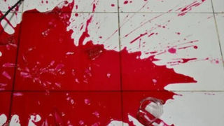 همسرکشی هولناک مرد کشاورز با ابزار کارش