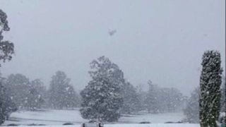 بارش غافلگیر کننده برف سنگین پس از ۱۰سال در استرالیا 