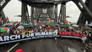 قابلمه‌ها، سیدنی، آمستردام، لندن و غزه! 