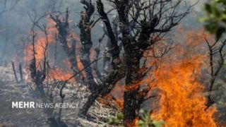 ۱۵۰ هکتار از مراتع طرقبه شاندیز طعمه حریق شد