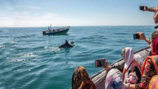 بلیط رفت و برگشت قشم را چگونه ارزانتر از همیشه تهیه کنیم؟ بلیط رفت و برگشت قشم را چگونه ارزانتر از همیشه تهیه کنیم؟