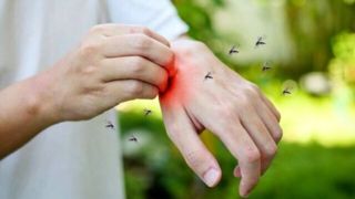 دارندگان این گروه خونی برای پشه‌ها جذاب‌ترند