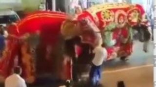فیل خشمگین مراسم مذهبی سریلانکا را به هم ریخت
