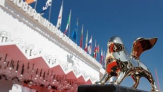 جشنواره فیلم ونیز هک شد