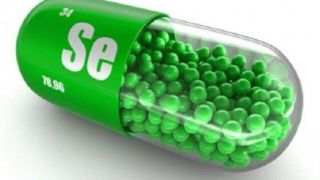 سلنیوم؛ مفید برای سلامت یا عامل پنهان دیابت؟ سلنیوم؛ مفید برای سلامت یا عامل پنهان دیابت؟
