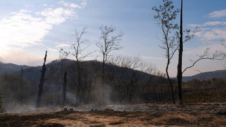 بزرگترین آتش‌سوزی جنگلی در فرانسه