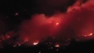 آتش‌سوزی جنگلی در ترکیه