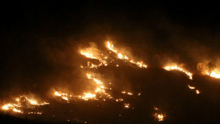 پارک ملی بمو شیراز طمعه حریق شد