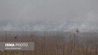 تداوم آتش‌سوزی در بخش عراقی تالاب هورالعظیم/ مهار آتش در بخش ایرانی