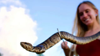 این زن آمریکایی ملکه مارهاست این زن آمریکایی ملکه مارهاست