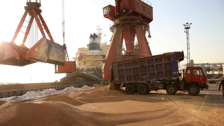 واردات گندم از دو کشور شمال ایران آغاز شد