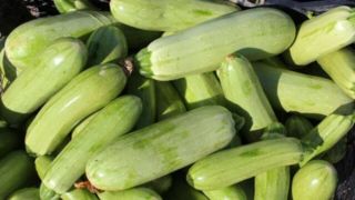 یک خوردنی مفید برای کاهش نفخ یک خوردنی مفید برای کاهش نفخ