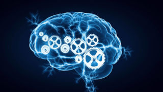 ۵ کاری که هر روز هوش ما را کمتر میکنند ۵ کاری که هر روز هوش ما را کمتر میکنند