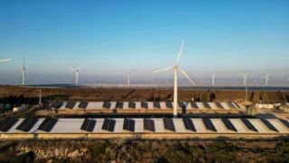 تهدید ترامپ برای توقف پروژه‌های بادی و خورشیدی