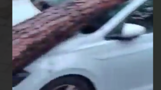 تصاویری از قدرت طوفان در ایتالیا تصاویری از قدرت طوفان در ایتالیا