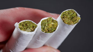 آژیر قرمز مخدر سبز در ایران/ «گل»؛ مخدری که تهران را بلعیده، میانکاله را به آتش کشیده و الیگودرز را قرق کرده است ! آژیر قرمز مخدر سبز در ایران/ «گل»؛ مخدری که تهران را بلعیده، میانکاله را به آتش کشیده و الیگودرز را قرق کرده است !