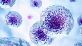 کشف مکانیسم عجیب در بدن/ سلولها «استفراغ» میکنند! کشف مکانیسم عجیب در بدن/ سلولها «استفراغ» میکنند!