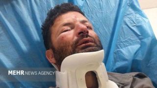 حمله ۳ متخلف به محیط‌بان در شمال تهران؛ضاربان بازداشت شدند